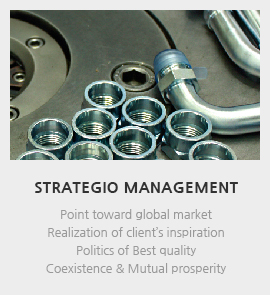 STRATEGIO MANAGEMENT - Point toward global market Realization of client’s  nspiration Politics of Best quality Coexistence & Mutual prosperity